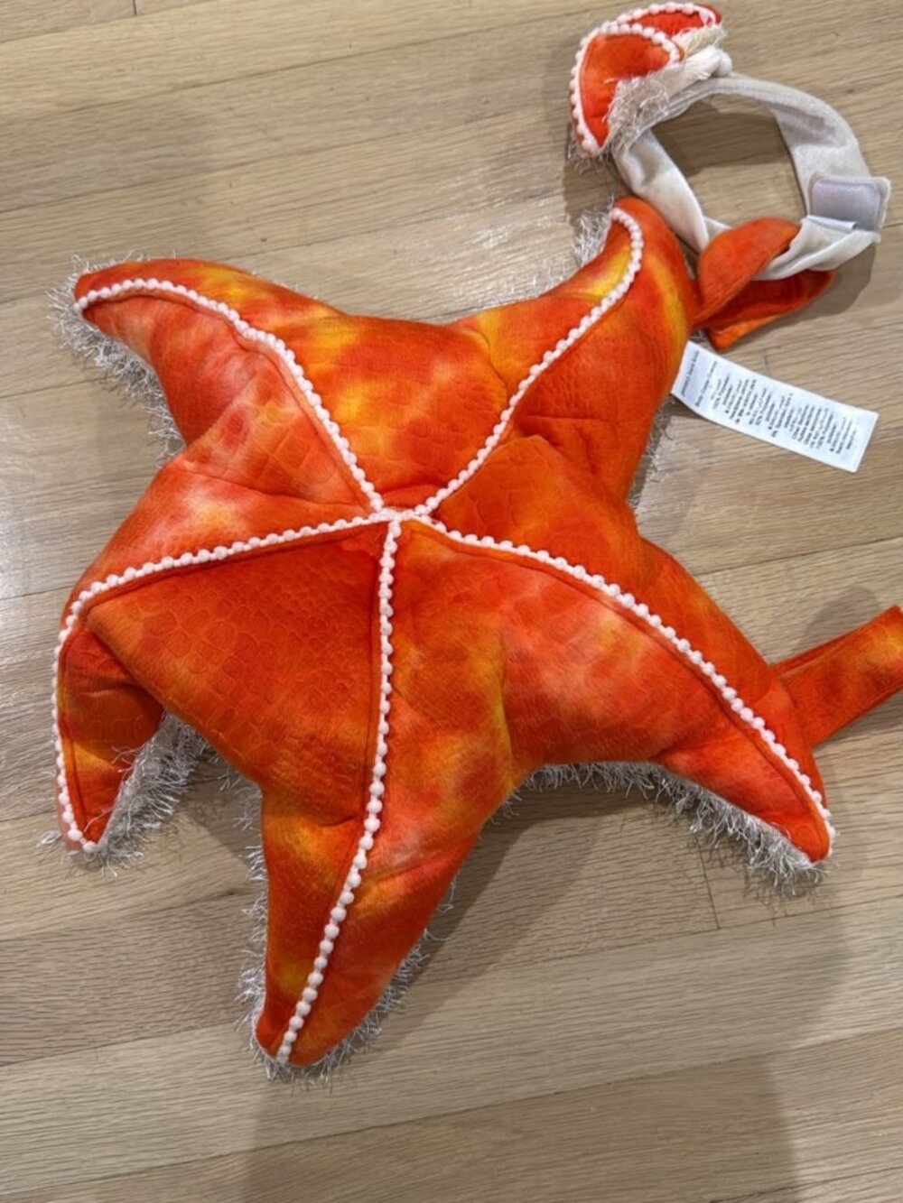 Starfish baby costume accessory